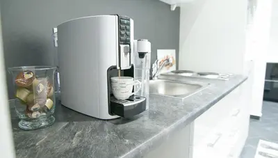 Küche/Küchenzeile in der Unterkunft Lotus Apartment Vienna