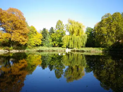 Naturlandschaft in der Nähe des Hotels