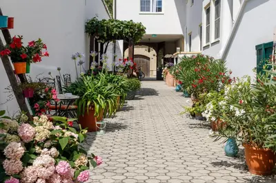 Ein Garten an der Unterkunft Pension Laubenhof