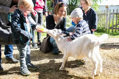 Kinder, die in der Unterkunft Am Ziegenhof übernachten