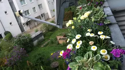 Ein Garten an der Unterkunft Private rooms IN WIEN