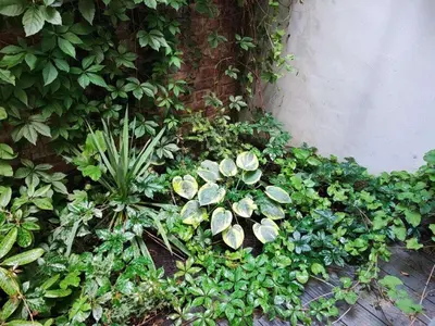 Ein Garten an der Unterkunft Central Vienna Apartment with unique 40m2 city garden & self check in
