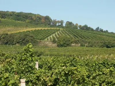 Naturlandschaft in der Nähe des Hotels
