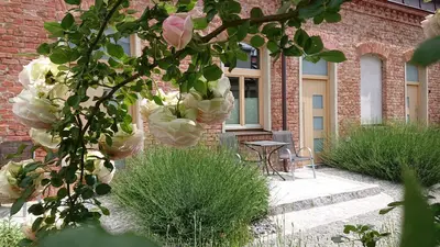 Ein Garten an der Unterkunft Maison am Liesingbach