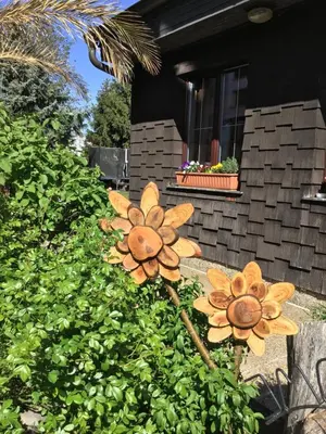 Ein Garten an der Unterkunft Pension Haus Sanz