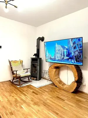 TV/Unterhaltungsangebot in der Unterkunft City center Apartment