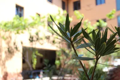 Ein Garten an der Unterkunft Máté Pension