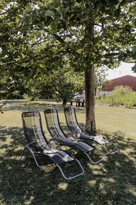 Ein Garten an der Unterkunft Hotel Mörbischerhof