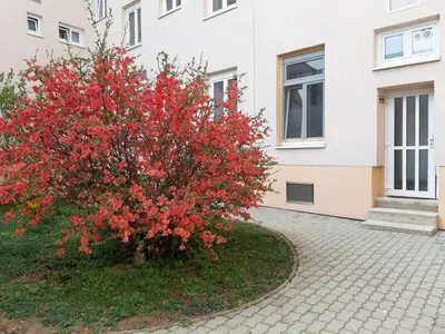 Grundriss der Unterkunft Haydnsuite