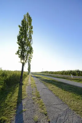 Naturlandschaft in der Nähe der Ferienwohnung