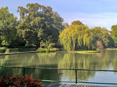 Naturlandschaft in der Nähe der Pension