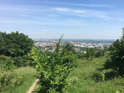 Naturlandschaft in der Nähe des Ferienhauses