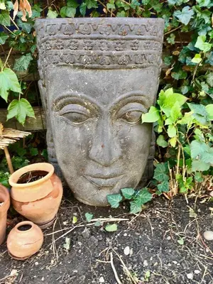 Ein Garten an der Unterkunft Seehaus Inselwelt