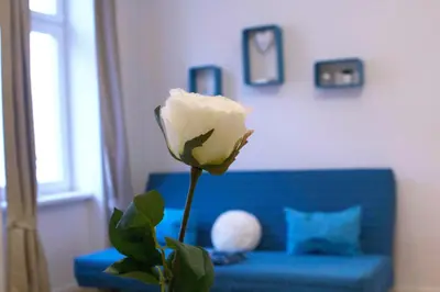 Ein Sitzbereich in der Unterkunft Cozy Studio Apartment for longer stays
