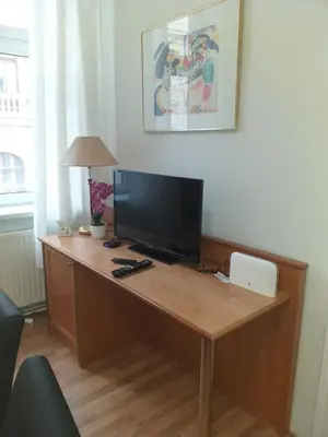 TV/Unterhaltungsangebot in der Unterkunft Ferienwohnung Schloessel 10