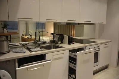 Küche/Küchenzeile in der Unterkunft Elegant Cozy Apartment