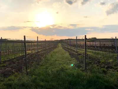 Blick auf den Sonnenuntergang/Sonnenaufgang von der Ferienwohnung aus oder aus der Nähe