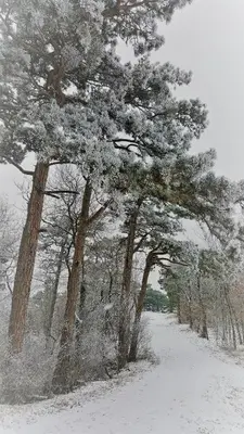 Hotel Hotwagner im Winter