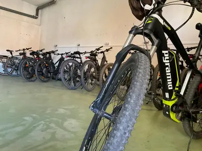 Radfahren an der Unterkunft Haus Martin - Schneeberger oder in der Nähe