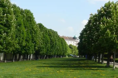 Ein Garten an der Unterkunft Studio-Apartment Augarten