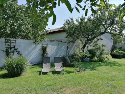 Ein Garten an der Unterkunft Gästehaus Anita