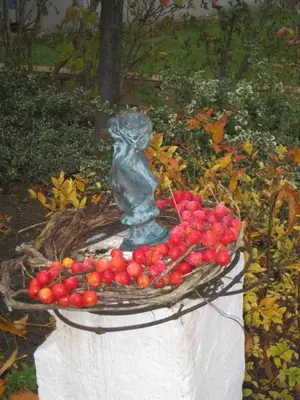 Ein Garten an der Unterkunft Gästehaus Anita