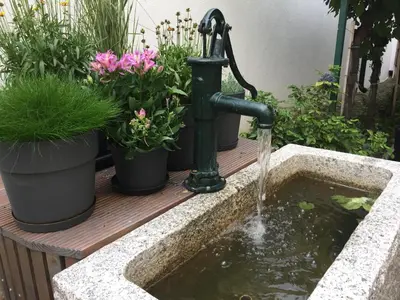 Ein Garten an der Unterkunft Weingut Krikler