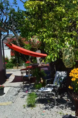 Ein Garten an der Unterkunft Das Nest