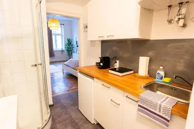 Küche/Küchenzeile in der Unterkunft Vienna City Apartment Traisengasse