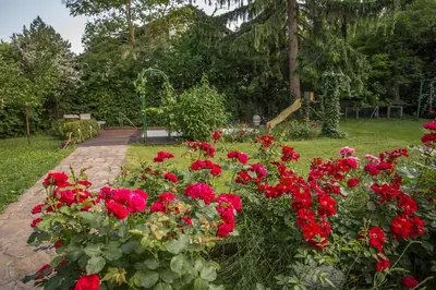 Ein Garten an der Unterkunft Hübsches Privatzimmer mit Bad
