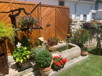 Ein Garten an der Unterkunft Ferienwohnungen zum Briefmarkenhaus