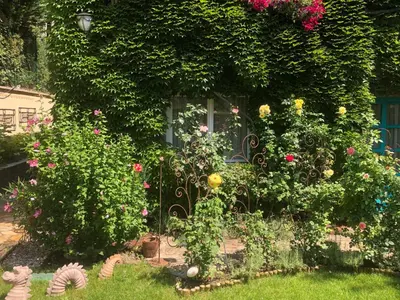 Ein Garten an der Unterkunft Schoenbrunn Gardens Deluxe Apartment