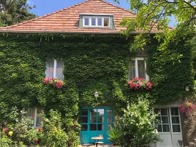 Ein Garten an der Unterkunft Schoenbrunn Gardens Deluxe Apartment