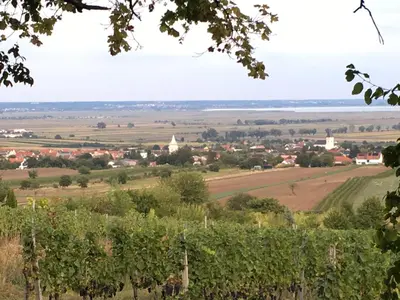 Naturlandschaft in der Nähe des Ferienhauses