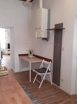 Küche/Küchenzeile in der Unterkunft Apartment Alser