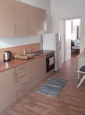 Küche/Küchenzeile in der Unterkunft Apartment Alser