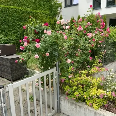Sweet Home Vienna Townhouse