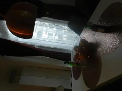 Grundriss der Unterkunft Klassik and sunny Apartment!