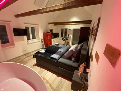 TV/Unterhaltungsangebot in der Unterkunft Auszeit Vienna Wellness Apartment