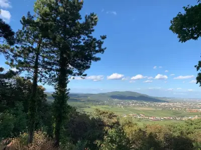 Naturlandschaft in der Nähe der Ferienwohnung