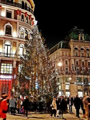 Gäste, die in der Unterkunft Oskar Kokoschka - City Apartment Downtown Vienna übernachten