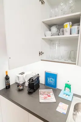 Küche/Küchenzeile in der Unterkunft Luxury Suites Renngasse