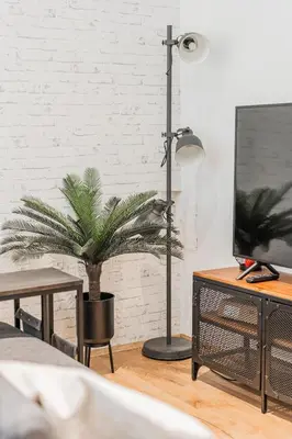 TV/Unterhaltungsangebot in der Unterkunft ZEUS Design Apartments Herz