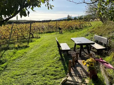 Ein Garten an der Unterkunft Schlaffass - Schlafen im Holzfass Thallern