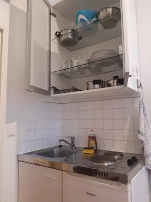 Küche/Küchenzeile in der Unterkunft Apartment Dahlia Vienna