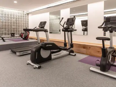 Das Fitnesscenter und/oder die Fitnesseinrichtungen in der Unterkunft Premium Green Apartments Vienna