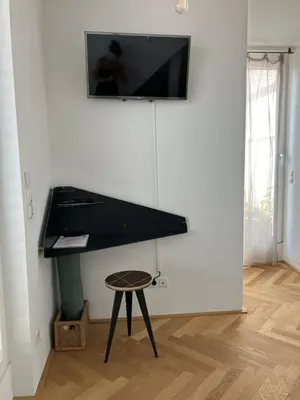 TV/Unterhaltungsangebot in der Unterkunft Design Loft mit Parkplatz nahe Schoenbrunn und U6