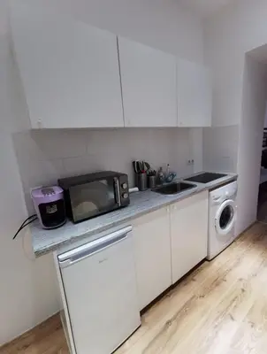 Küche/Küchenzeile in der Unterkunft Vienna Prater Apartments