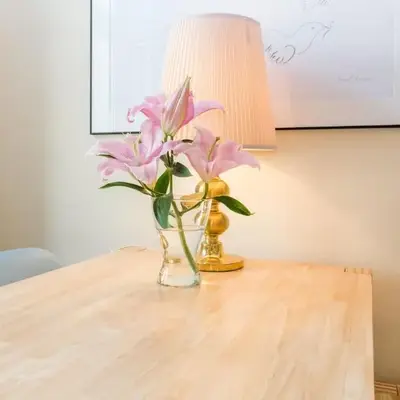 Beautiful Viennese apartment