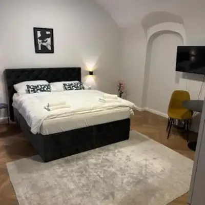 Vienne City Apartment Crown 6